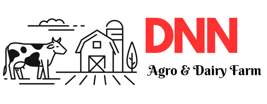 logo-3